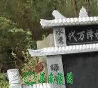 利用中国殡葬之精华,提倡孝道和团结友爱精神