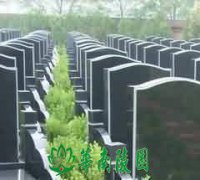 关于“恶”的存在整合的观点