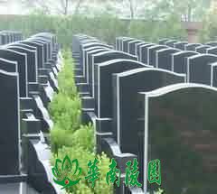 关于“恶”的存在整合的观点