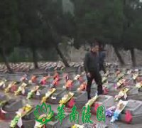 晏子的丧葬观