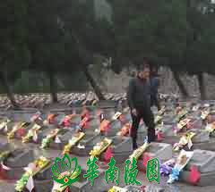 晏子的丧葬观