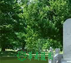 临终关怀
