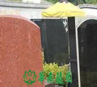 我国古代丧葬文化的历史演化
