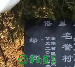 殡葬业管理中存在的问题及成因分析