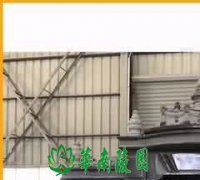 人类丧葬习俗与文明的进步曲线
