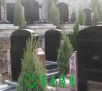 有关孝文化的著作和论文
