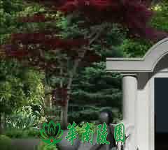 传统文化的色彩沿袭