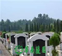 家族墓地的普遍