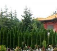 目的地环境
