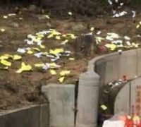 藏族生态文化与社会主义精神文明建设的思考