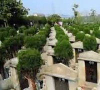 宣教寺概述及塔寺位置关系