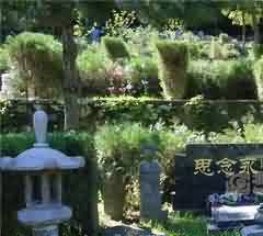 汉传佛教寺院旅游发展存在的问题