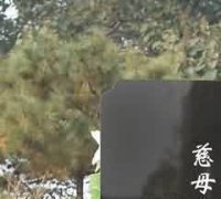 传统法律思想与杜会经济形态契合