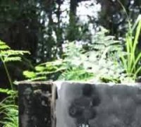 传统法律思想与社会组织原则相关