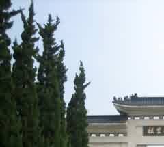 音乐与中国古代礼制的关系