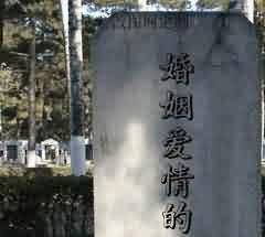 《佛祖统纪》之志