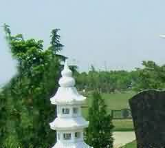 卦气