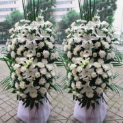 国外城市公墓管理相关研究