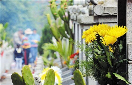 结合整体治理理论研究沈阳市城市公墓管理问题