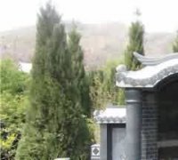 老挝佛寺教育的启示
