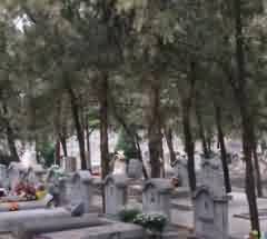 楚文化产生的历史条件
