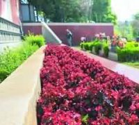 水陆法会概况