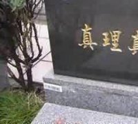 再葬画像石墓出现的原因