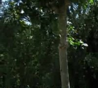 多元化防控主体协作