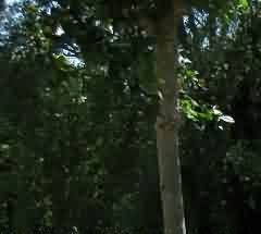 多元化防控主体协作