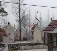 宗教网络促进了信息的共享与传播