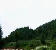 寻找聚合性思维独特的着眼点