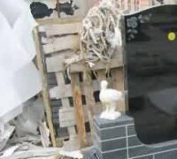 公墓财产消费者权利问题及其法律对策