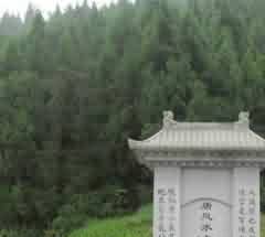 砖室墓