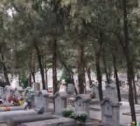墓地经营人的资格