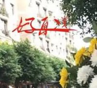 国内外墓园植物造景概况
