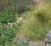 墓园与城市的关系