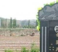 墓地使用权的概念