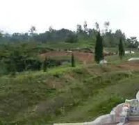 墓地权属变动问题