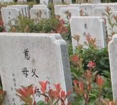 民间信仰与儒教、道教的异同