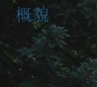 丧服服叙对法律的影响
