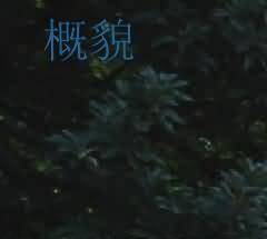 丧服服叙对法律的影响