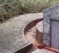 岁时民俗中的尚巫之风