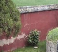 从“差序格局”看湖北农村的“人情圈”