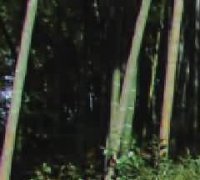 丧宴与盖棺
