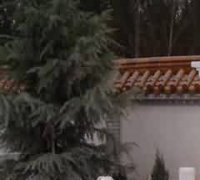 对惑于风水迷信现象的否定和批判
