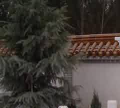 对惑于风水迷信现象的否定和批判