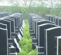 科学和谐的殡葬消费体系构建