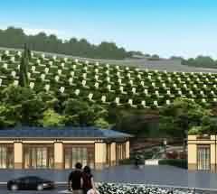 过程化殡葬服务模式中社会工作者的角色定位