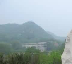 以标准化建设树行业规范