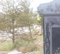 在爱与惧中排徊一一挂篱笆